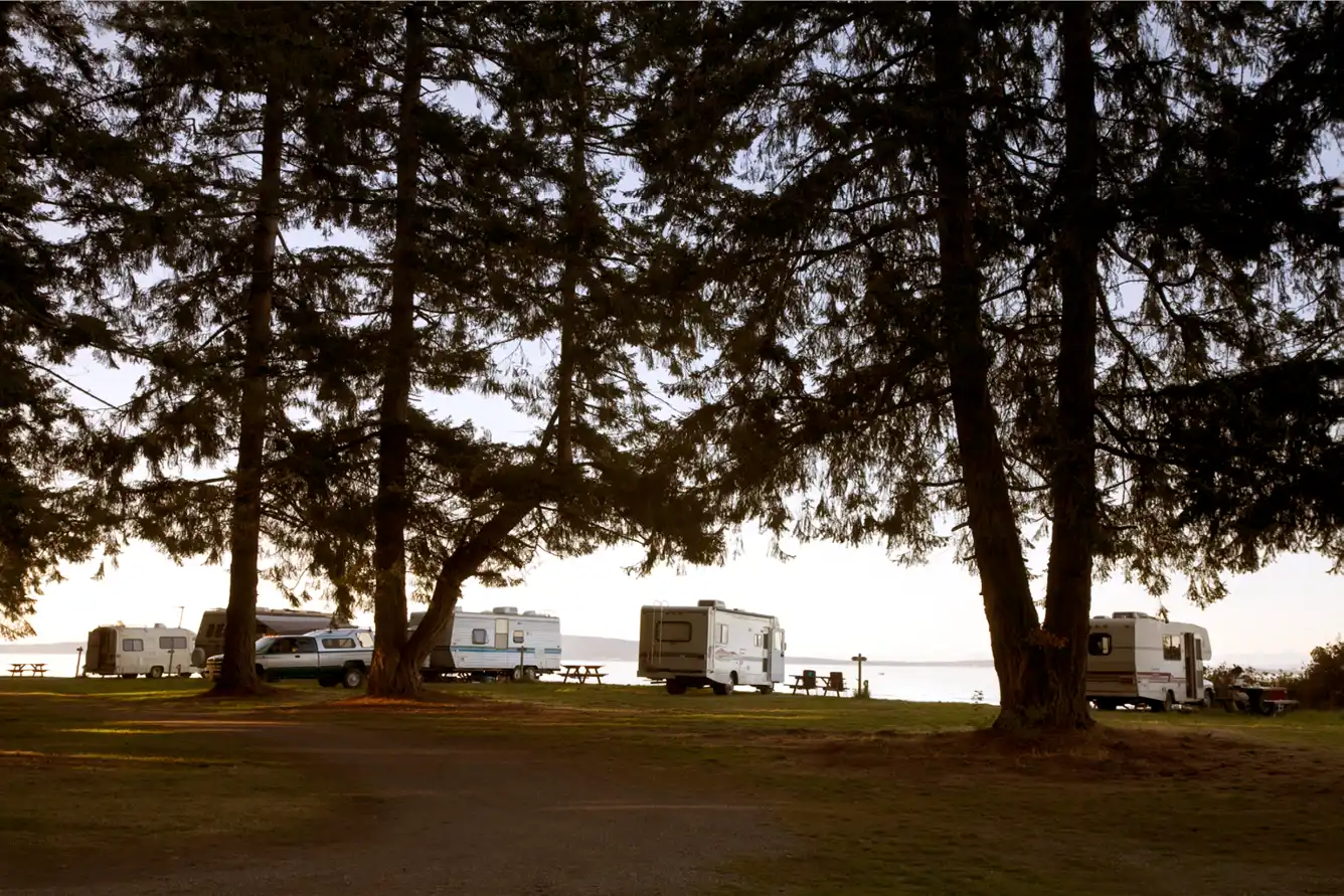 Rvs and campers at camp ground and rv park.