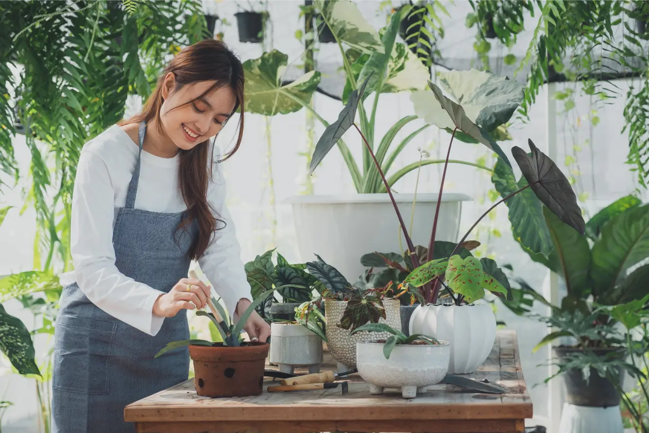 Woman potting a plant in a greenhouse