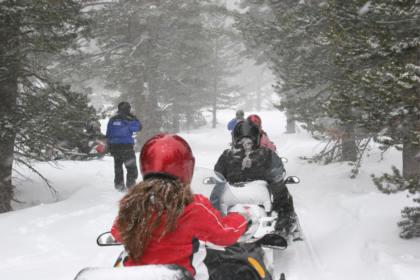A family of snowmobilers traversing a snowy forest.