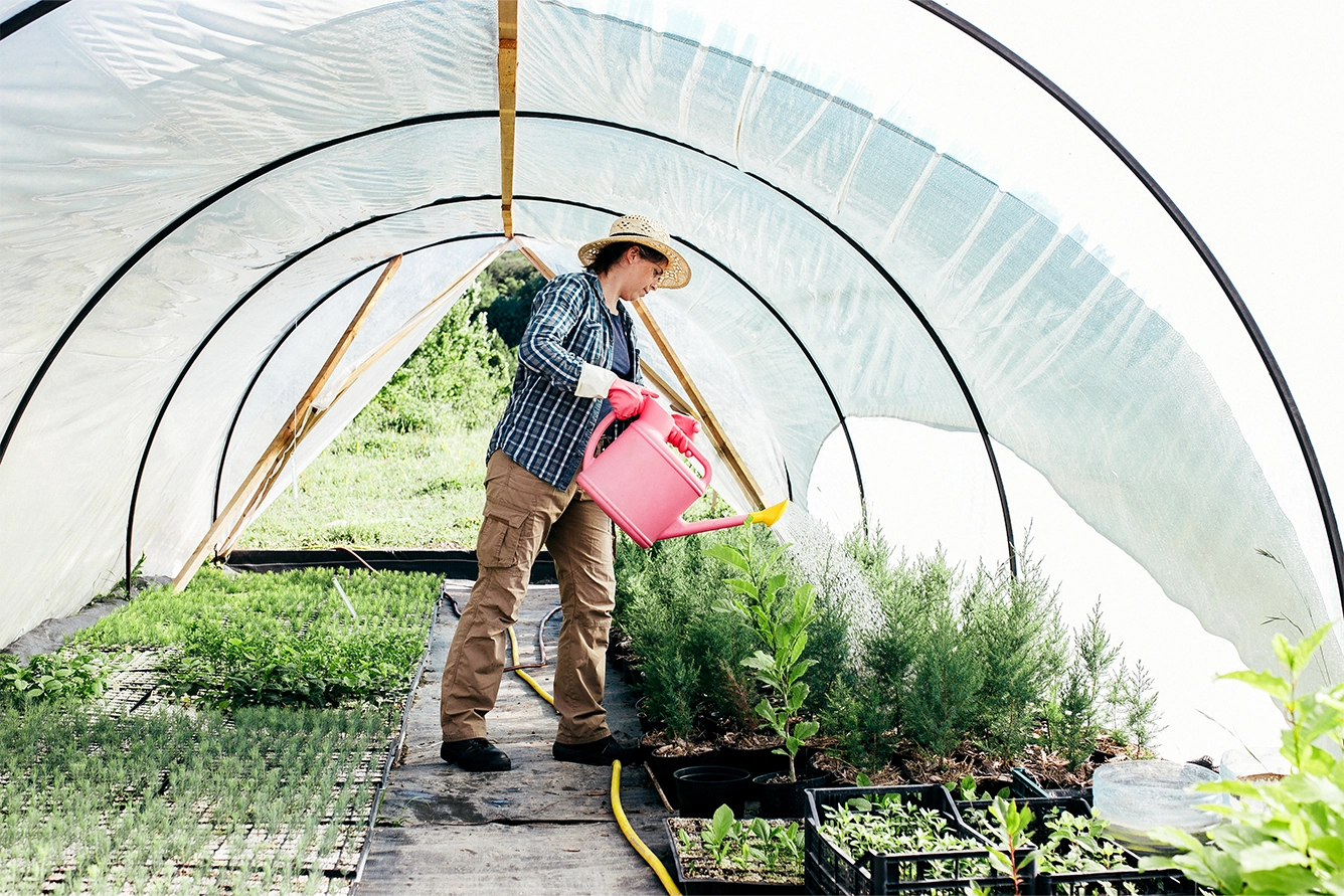Woman gardener watering plants with watering can in greenhouse on hobby farm