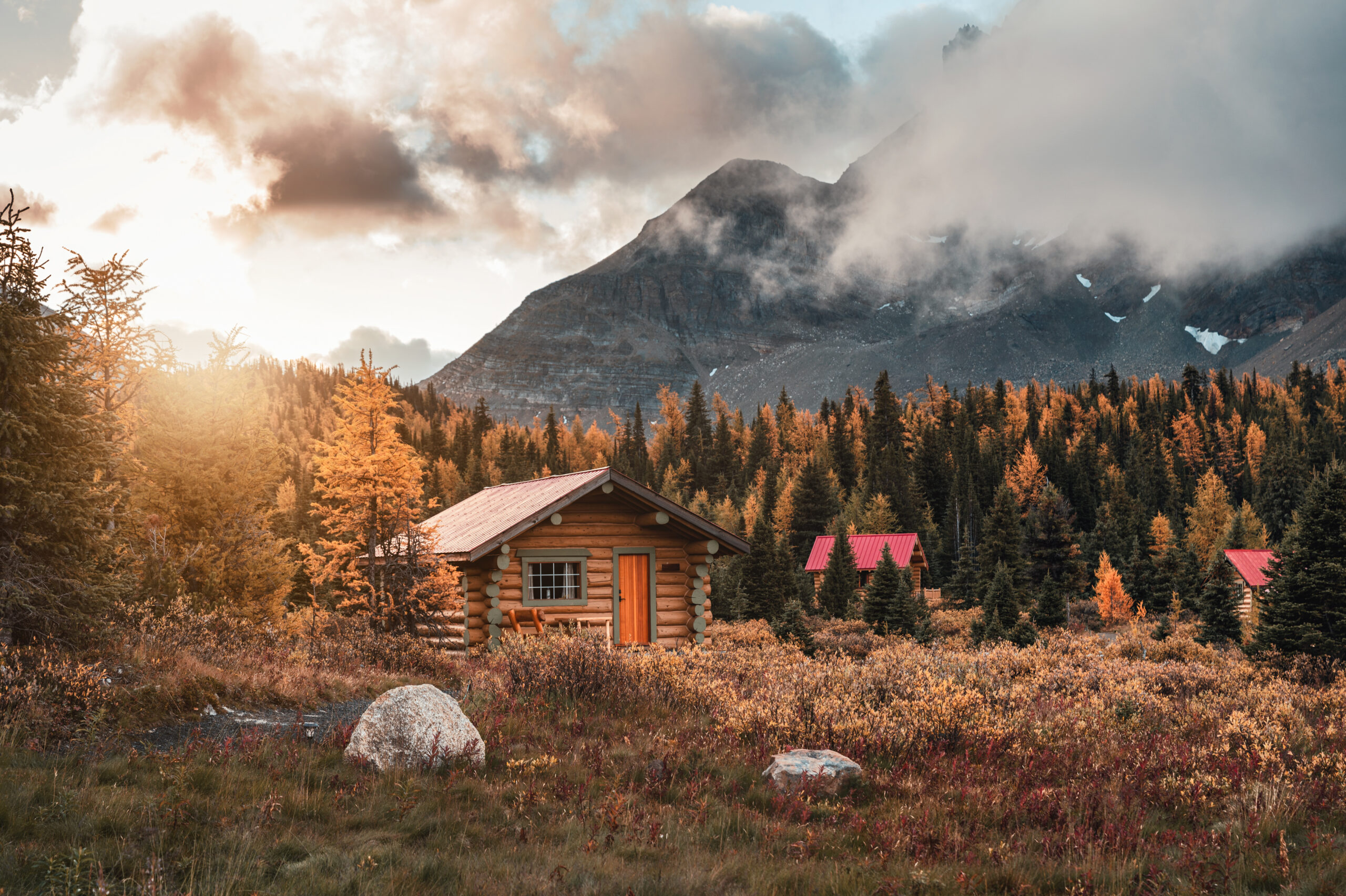 A charming wooden cottage bathed in warm sunshine, surrounded by nature perfect for a peaceful Ontario vacation home.