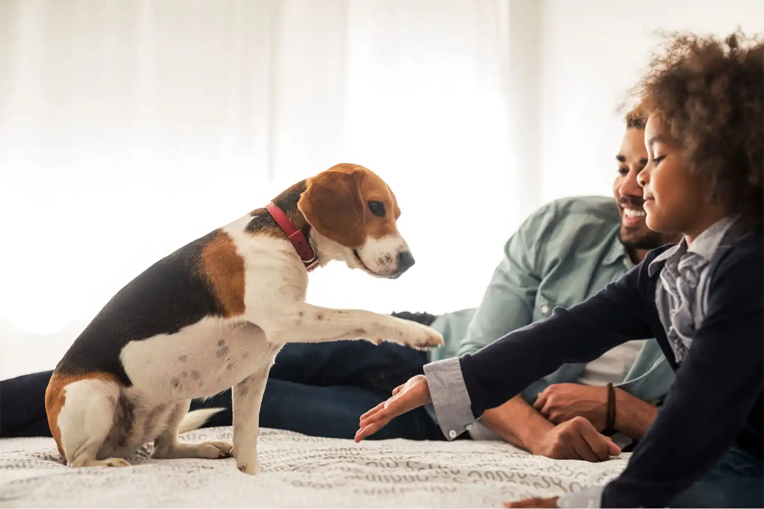 Family spending time together with a dog in the bedroom.