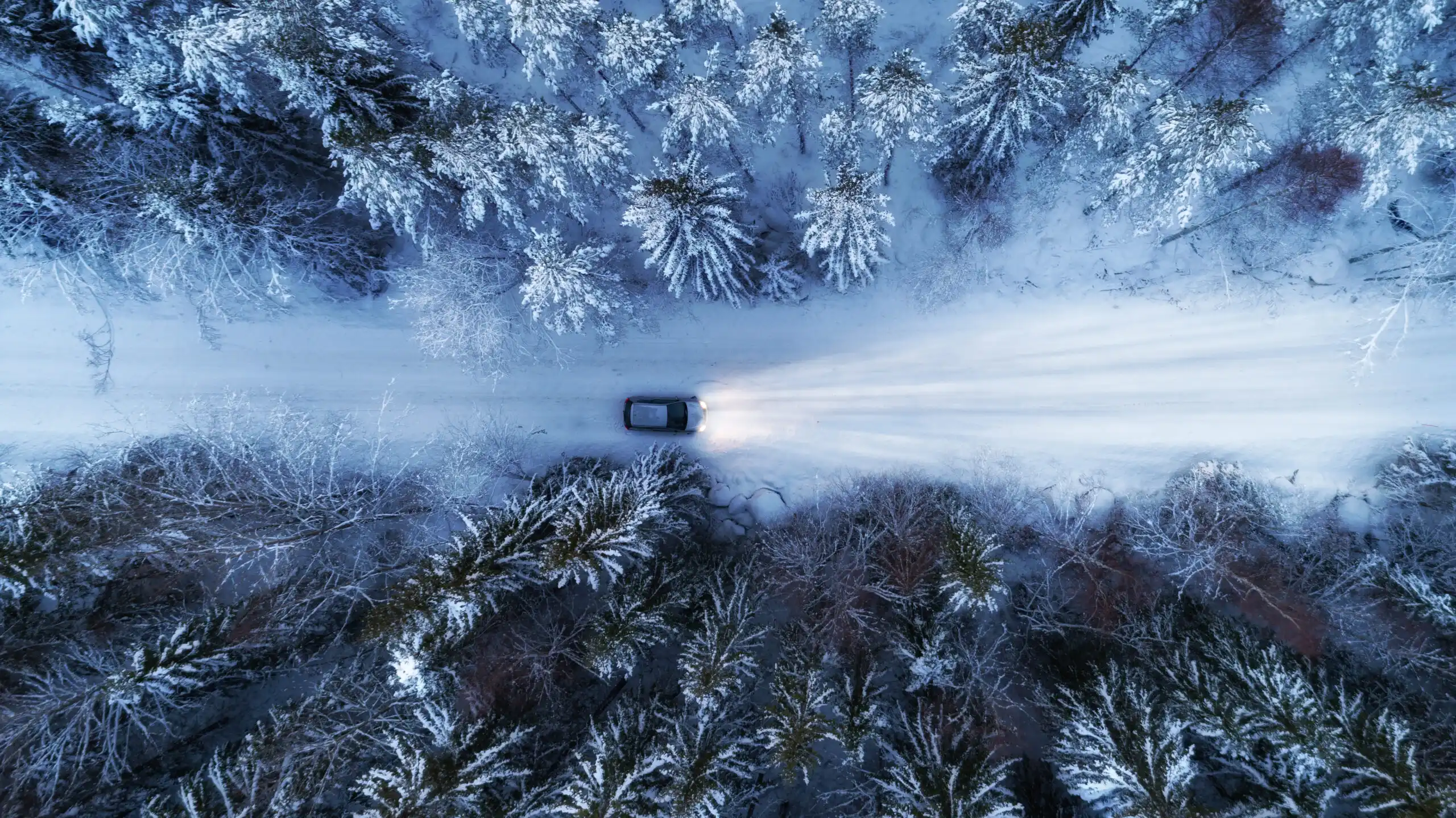 A stunning aerial view of a car driving along a snow-covered forest road at night—symbolizing safety, reliability, and the peace of mind that comes with trusted auto insurance.